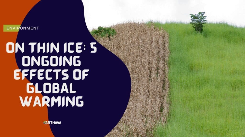 On Thin Ice- 5 Ongoing Effects of Global Warming