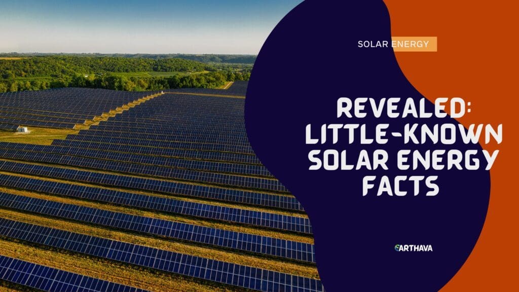 Revealed: Little-Known Solar Energy Facts 