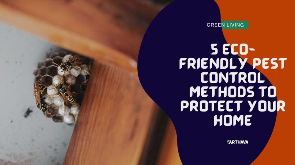 5 Eco-Friendly Pest Control Methods to Protect Your Home