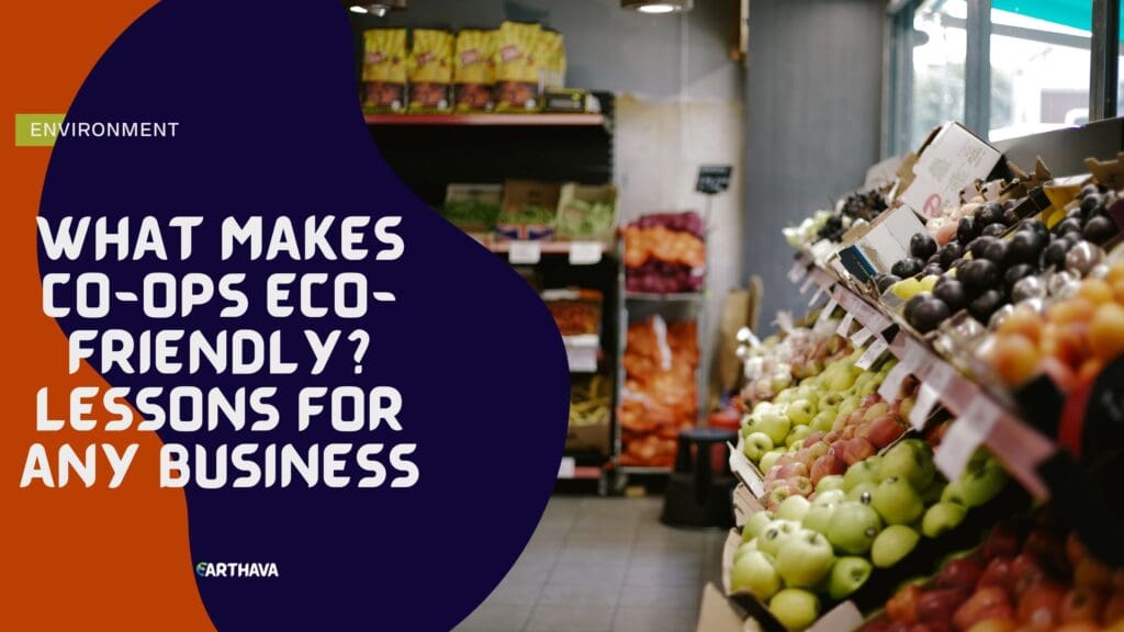 What Makes Co-Ops Eco-Friendly? Lessons for Any Business