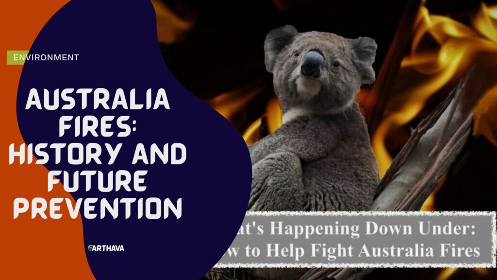 Australian Bushfires: History and Future Prevention