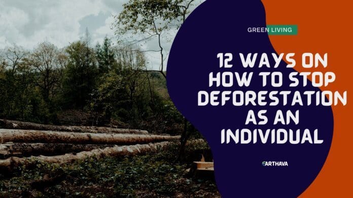 12 Ways on How to Stop Deforestation - Earthava