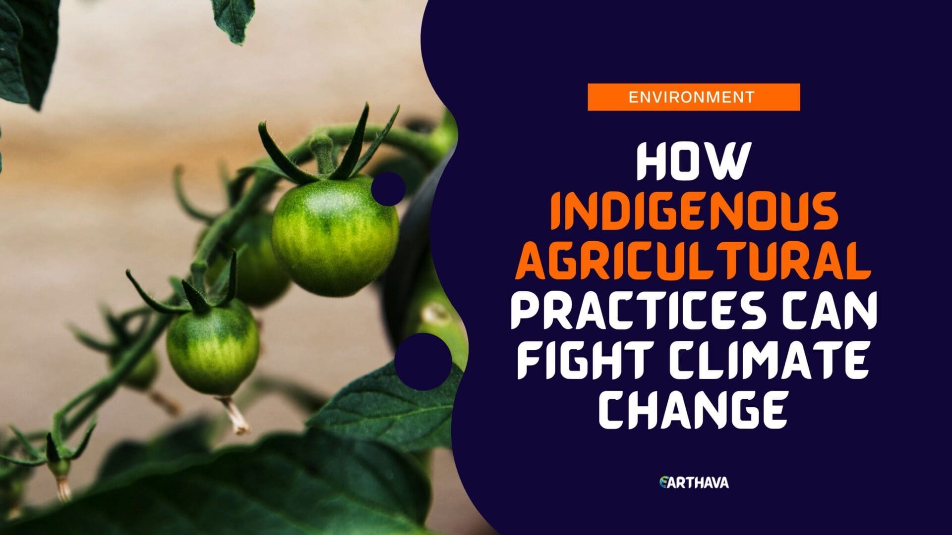 How Indigenous Agricultural Practices Can Fight Climate Change - Earthava