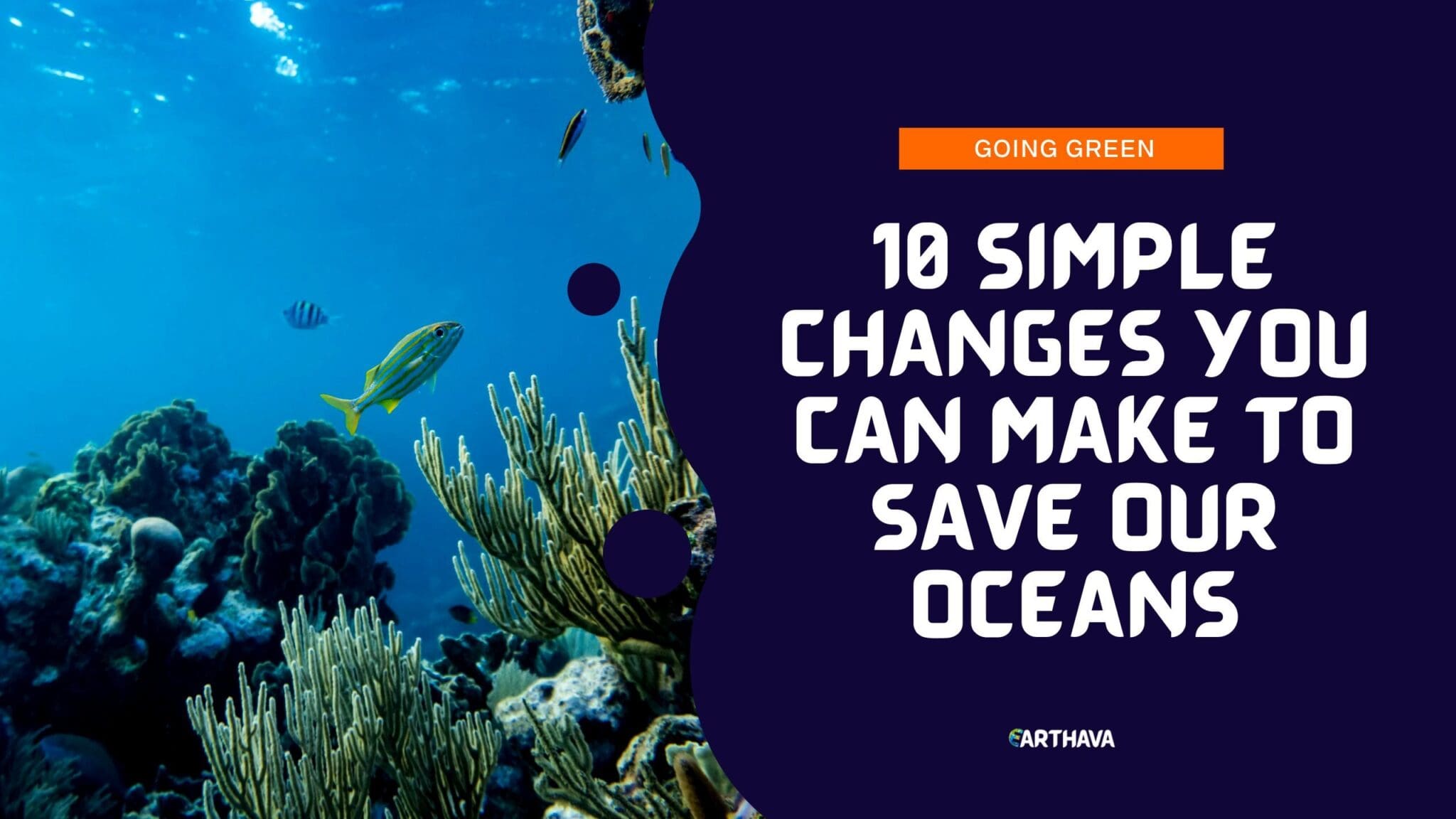 10-simple-changes-you-can-make-to-save-our-oceans-earthava