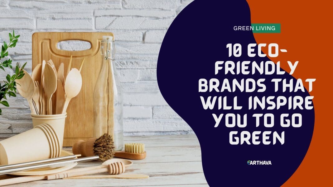 10 Ecofriendly Brands That Will Inspire You To Go Green Earthava