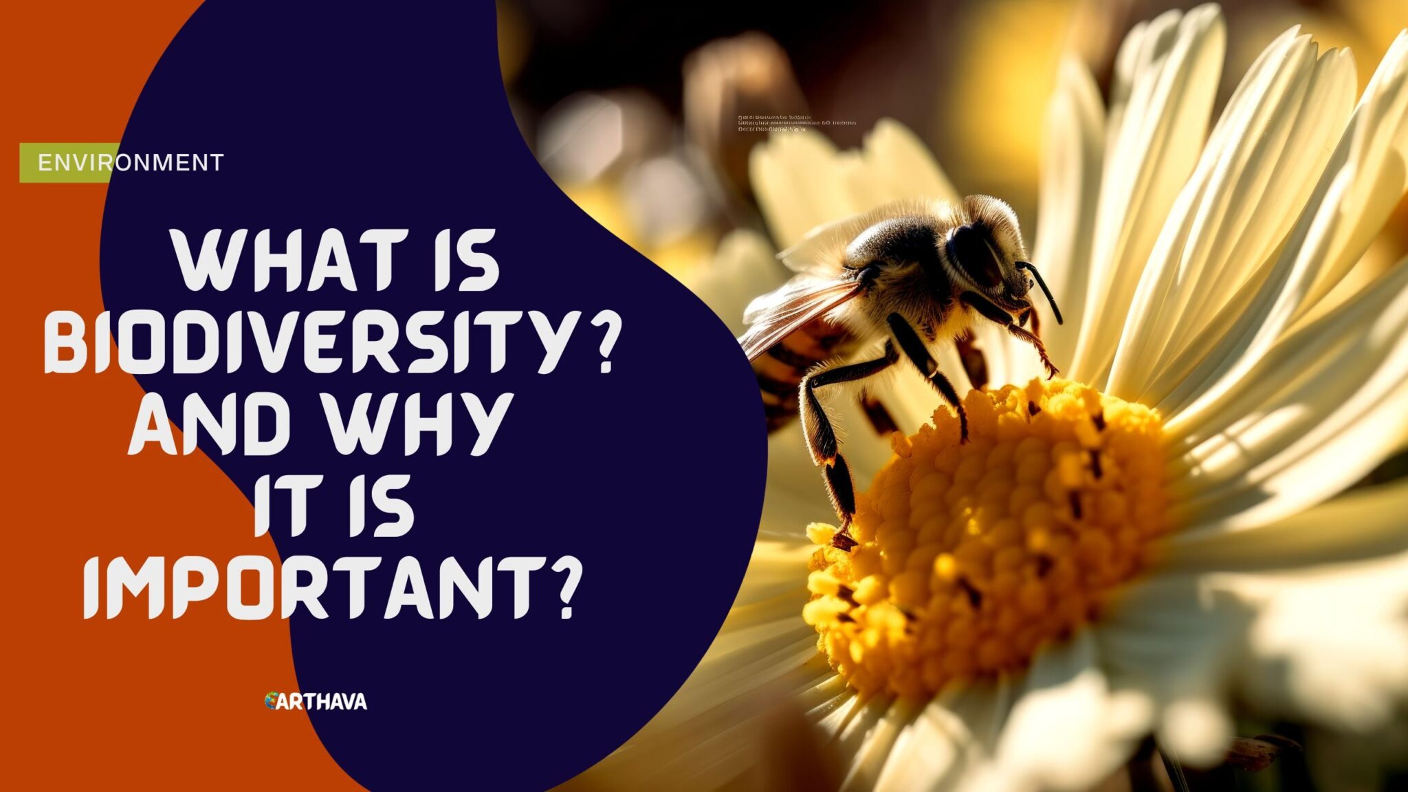 what-is-biodiversity-and-why-it-is-important-earthava