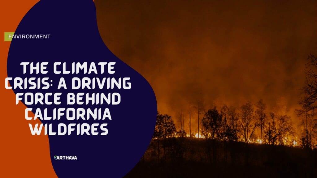 The Climate Crisis: A Driving Force Behind California Wildfires