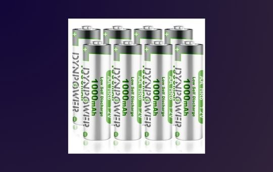 Dynpower NiMH AA Rechargeable Batteries