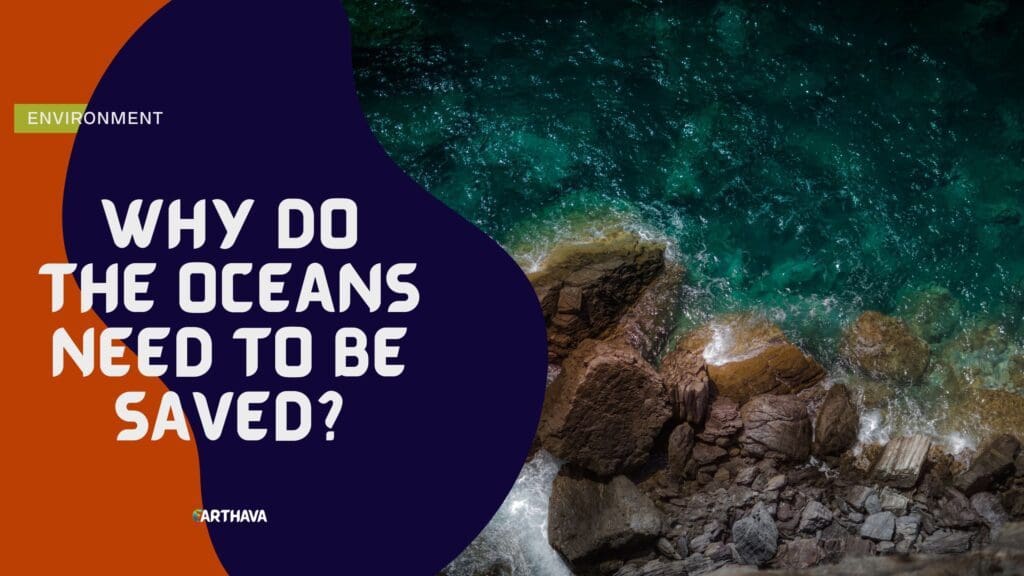 Why Do The Oceans Need to Be Saved?