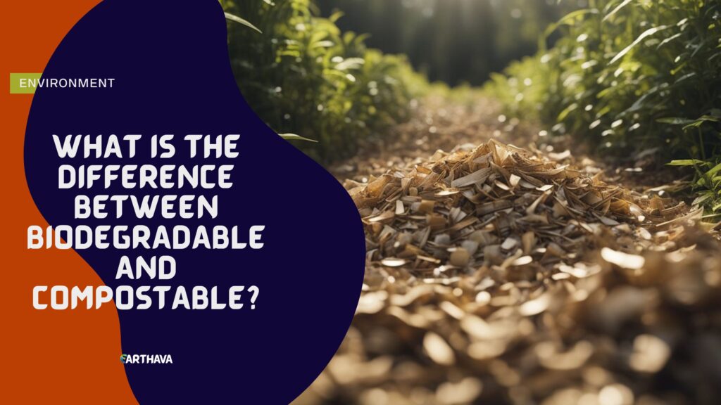 What Is the Difference Between Biodegradable and Compostable